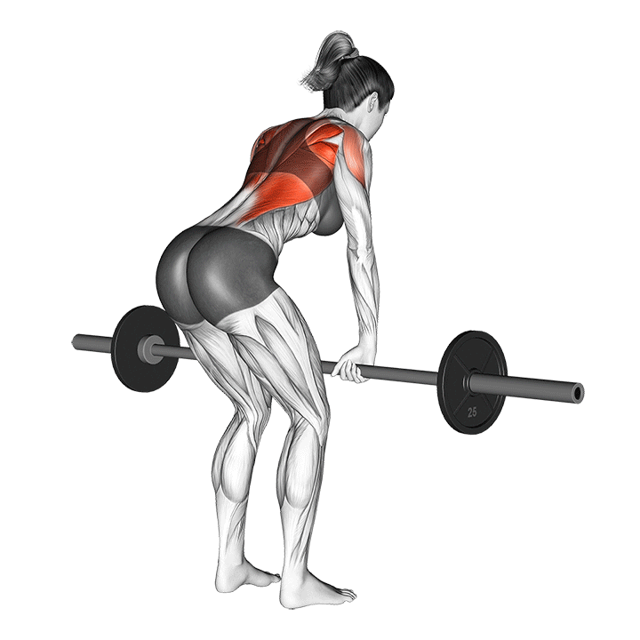 thick back workout bent over row